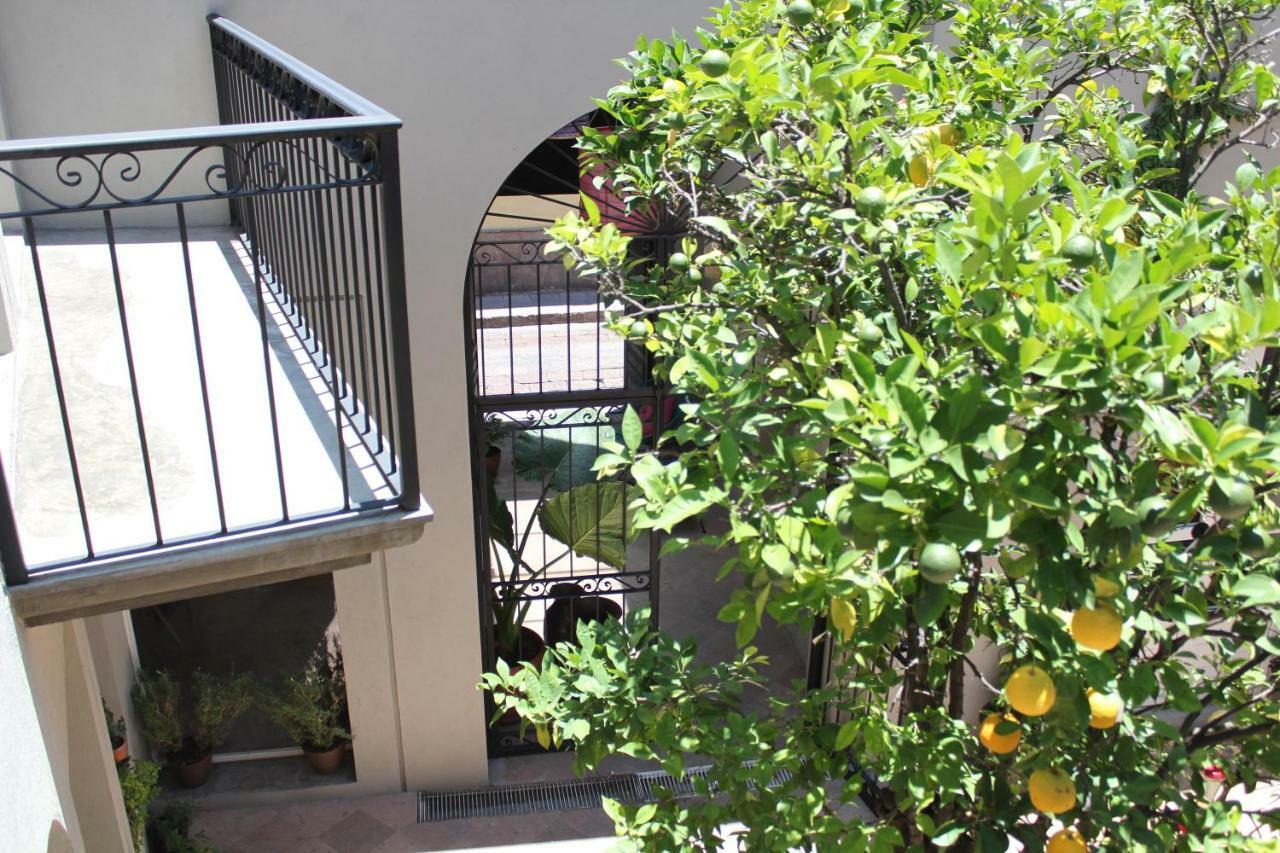 Hotel Mama Carlota Querétaro Exteriér fotografie